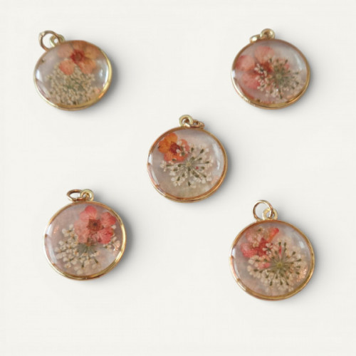 IMG_20260207_015143 (1).jpg